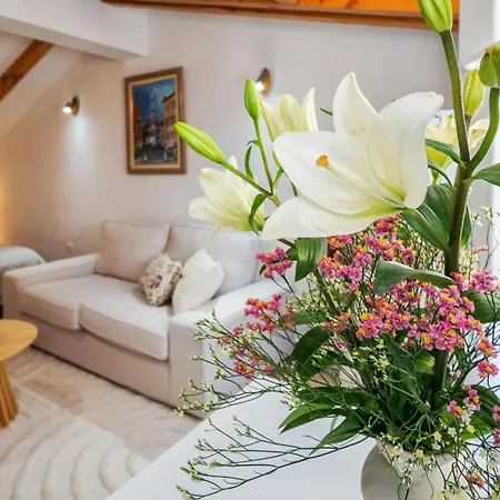 Appartement Viva